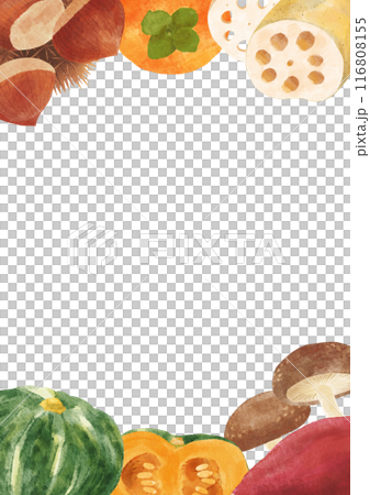 秋の味覚のフレーム6 水彩タッチ 秋の味覚のフレーム6 水彩タッチ 116808155