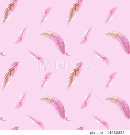 Seamless Pattern of pink Feathers. Watercolor Illustration on a pink Background. Hand drawn. Can be used for fabric, textile and packaging prints. 116808224