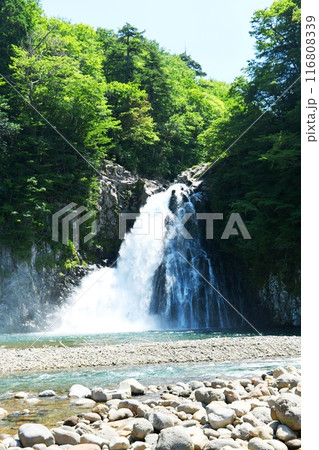 【由利本荘市　鳥海山の雪解け水を集めて落ちる「法体の滝」】 116808339