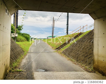 田んぼへ続く道 116808362