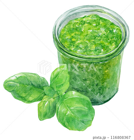 バジルペーストとバジルの葉　水彩イラスト 116808367