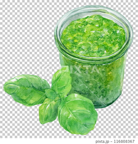 Basil paste and basil leaves watercolor illustration 116808367