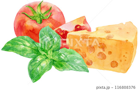 バジル・トマト・チーズの水彩イラスト　イタリアン 116808376
