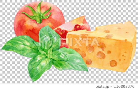 バジル・トマト・チーズの水彩イラスト　イタリアン 116808376
