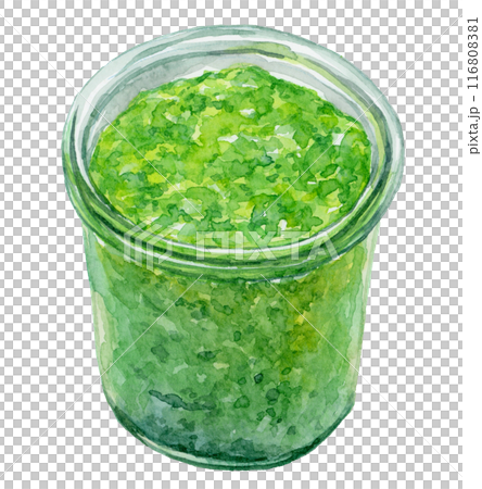 Basil sauce watercolor illustration 116808381