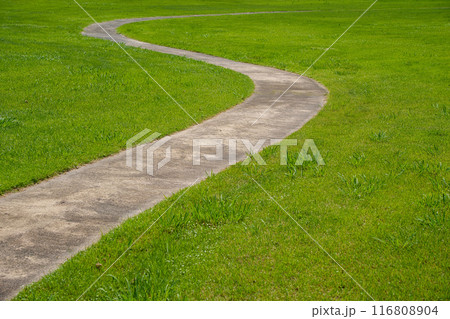 Sの形に曲がる狭路 116808904