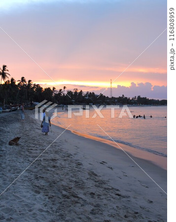 日の出前の海岸線 116808959