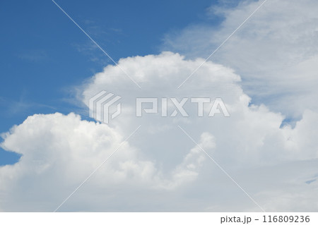 blue sky with cloud. natural background with copy space. 116809236