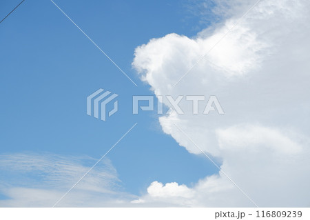 blue sky with cloud. natural background with copy space. blue sky with cloud. natural background with copy space. 116809239