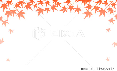 紅葉が舞うグラデーションのシンプルな背景のイラスト 116809417