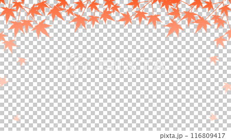 紅葉が舞うグラデーションのシンプルな背景のイラスト 116809417