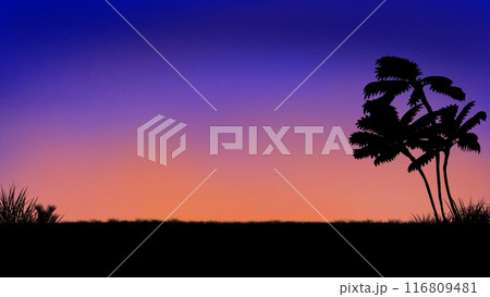 Illustration of a sunset view towards evening, horizontal view  116809481