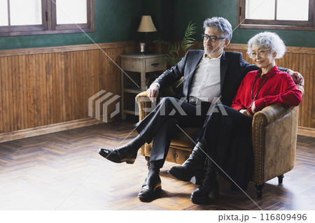 ソファに座るグレイヘアのカップル　 116809496