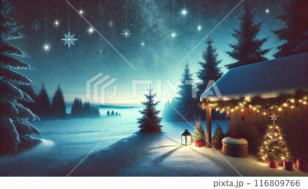 幻想的な雪の中のクリスマスツリー 116809766