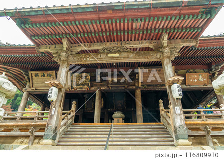 岐阜県揖斐川町 新緑の谷汲山華厳寺の本堂へ上がる階段 岐阜県揖斐川町 新緑の谷汲山華厳寺の本堂へ上がる階段 116809910