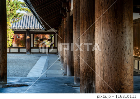 【奈良県】歴史の深さを感じる法隆寺の回廊 116810113