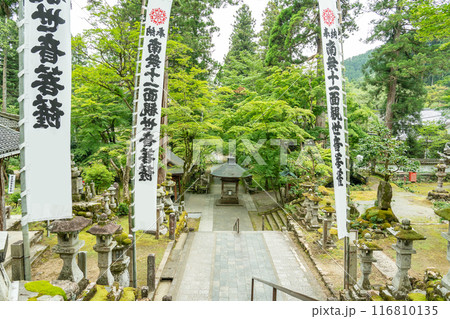 岐阜県揖斐川町　新緑の谷汲山華厳寺の本堂から見下ろした参道 116810135