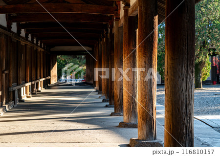 【奈良県】歴史の深さを感じる法隆寺の回廊 116810157