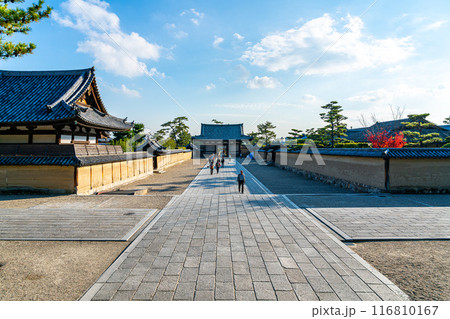 【奈良県】境内から見る法隆寺の参道と南大門 【奈良県】境内から見る法隆寺の参道と南大門 116810167