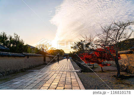 【奈良県】夕暮れの秋空が広がる法隆寺の参道 116810178