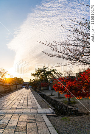 【奈良県】夕暮れの秋空が広がる法隆寺の参道 【奈良県】夕暮れの秋空が広がる法隆寺の参道 116810179