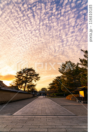 【奈良県】ダイナミックな夕暮れの秋空が広がる法隆寺の参道 【奈良県】ダイナミックな夕暮れの秋空が広がる法隆寺の参道 116810185