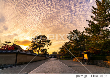 【奈良県】ダイナミックな夕暮れの秋空が広がる法隆寺の参道 116810186