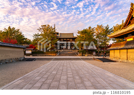 【奈良県】ダイナミックな夕暮れの秋空が広がる法隆寺 116810195