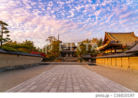 【奈良県】ダイナミックな夕暮れの秋空が広がる法隆寺 116810197