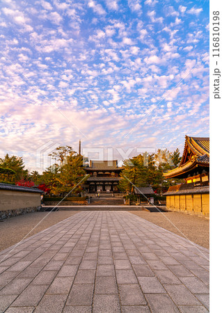 【奈良県】ダイナミックな夕暮れの秋空が広がる法隆寺 【奈良県】ダイナミックな夕暮れの秋空が広がる法隆寺 116810198