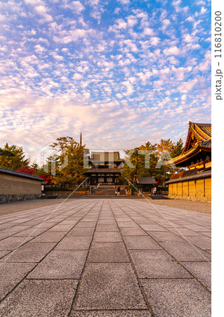 【奈良県】ダイナミックな夕暮れの秋空が広がる法隆寺 116810200