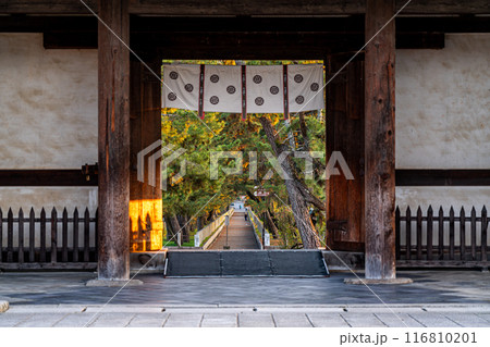 【奈良県】法隆寺の境内から見る夕暮れの南大門と参道 116810201