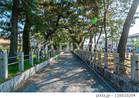 【奈良県】松並木が印象的な法隆寺の参道 【奈良県】松並木が印象的な法隆寺の参道 116810204