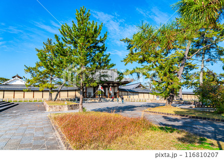 【奈良県】綺麗な青空が広がる法隆寺の南大門 【奈良県】綺麗な青空が広がる法隆寺の南大門 116810207