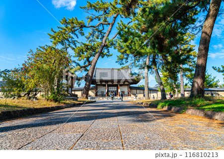 【奈良県】松の木に囲まれた参道が印象的な法隆寺 116810213