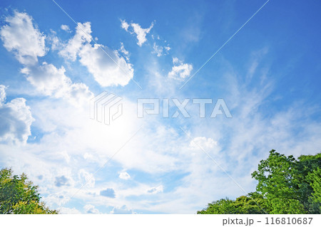夏の雲と木立と太陽 夏の雲と木立と太陽 116810687