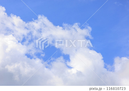 夏の青空と白い雲 116810723
