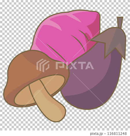 サツマイモとキノコとナスの食材 食欲の秋イラスト サツマイモとキノコとナスの食材 食欲の秋イラスト 116811248