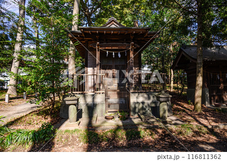 延喜式内社十三社松田寒田神社境内の風景 延喜式内社十三社松田寒田神社境内の風景 116811362
