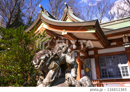 延喜式内社十三社松田寒田神社境内の狛犬 延喜式内社十三社松田寒田神社境内の狛犬 116811365