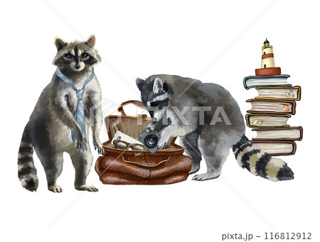 Two funny raccoons rummaging through a suitcase with things. Clipart without background. Watercolor illustration of travel, tourism, flights or cruise. Also suitable for design of a blog or postcards. Two funny raccoons rummaging through a suitcase with things. Clipart without background. Watercolor illustration of travel, tourism, flights or cruise. Also suitable for design of a blog or postcards. 116812912