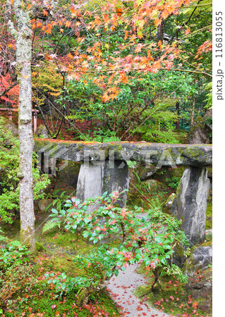 大原　宝泉院　秋の紅葉が美しい宝楽園（京都市左京区） 116813055