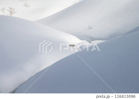 パウダースノー丘 パウダースノー丘 116813096