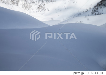 パウダースノー丘 パウダースノー丘 116813101