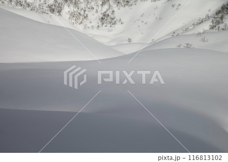 パウダースノー丘 パウダースノー丘 116813102