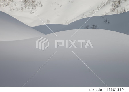 パウダースノー丘 116813104