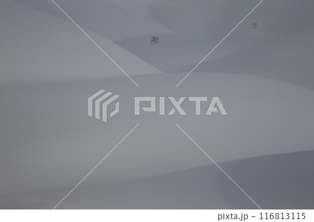 パウダースノー丘 パウダースノー丘 116813115