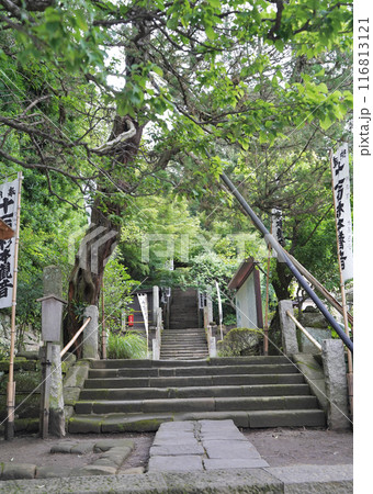 日本、神奈川県、鎌倉最古の寺、杉本寺、すぎもとでら 116813121