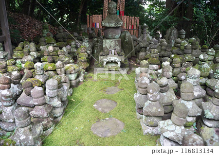 日本、神奈川県、鎌倉最古の寺、杉本寺、すぎもとでら 日本、神奈川県、鎌倉最古の寺、杉本寺、すぎもとでら 116813134