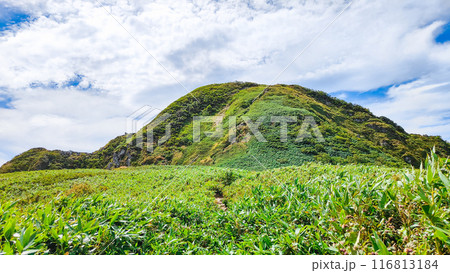 夏の雨飾山登山（笹平～山頂） 116813184